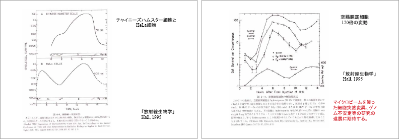 ECRR2003報告における新しい低線量被曝評価の考え方 p.33-34